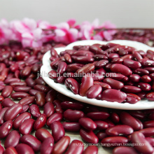 Dark red kidney bean 2016crop with high quality different types